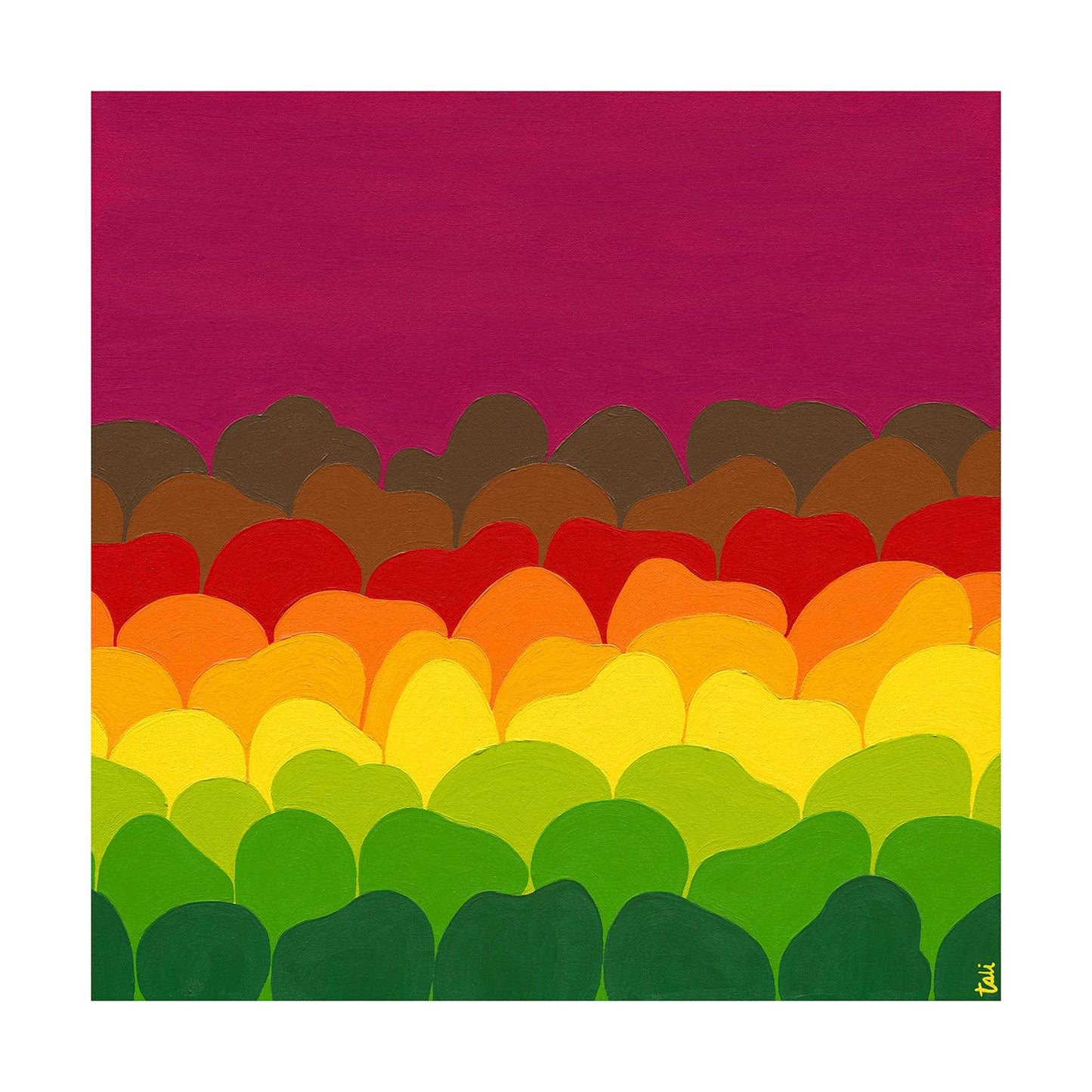 rainbow mountains