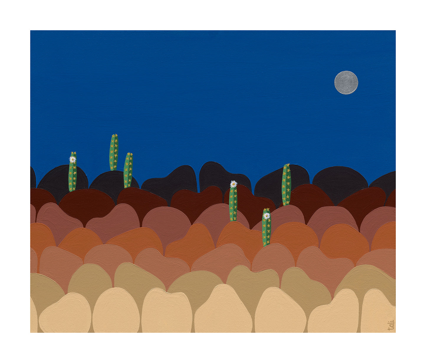 desert dreaming