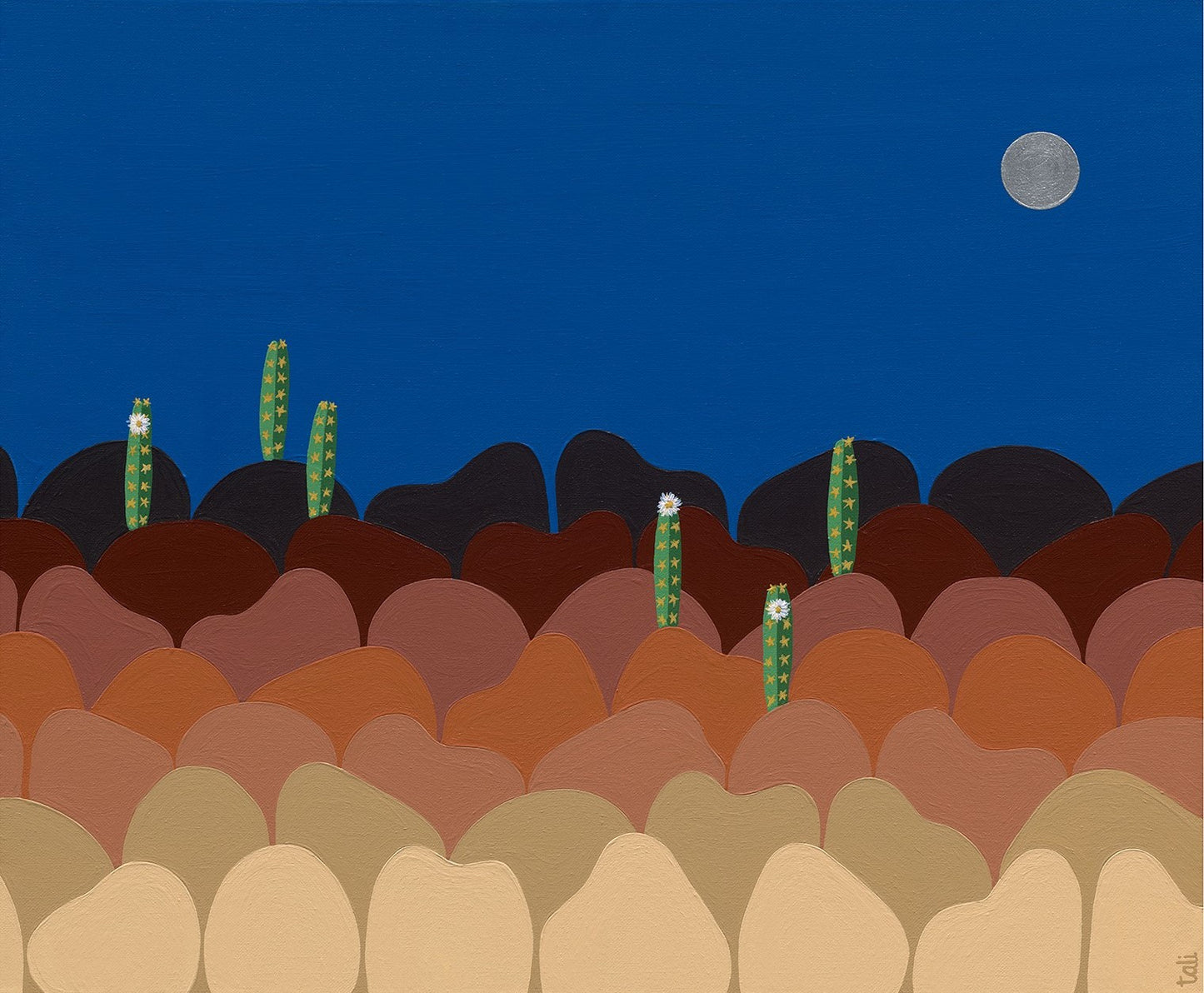 desert dreaming