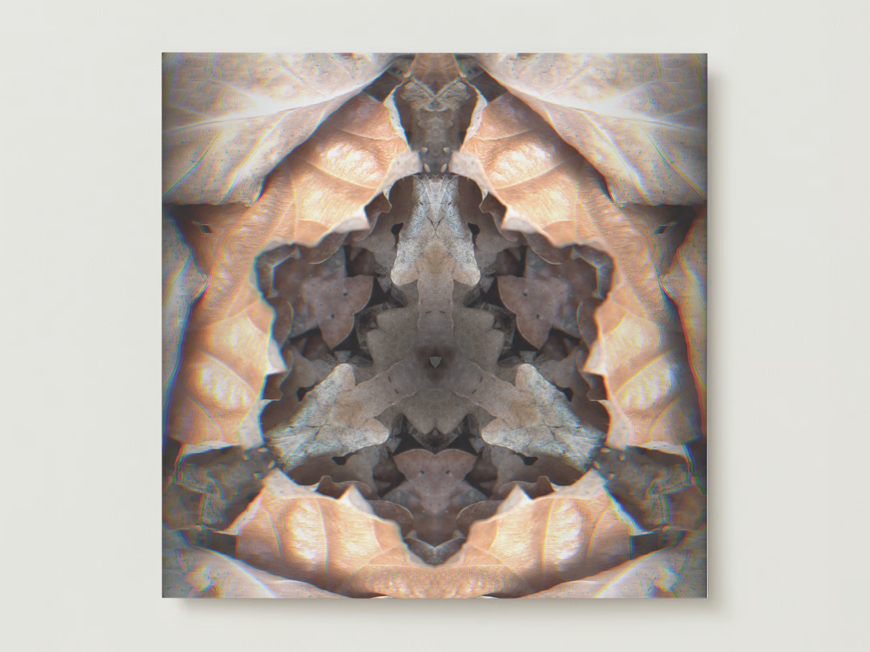 kaleido fall 1