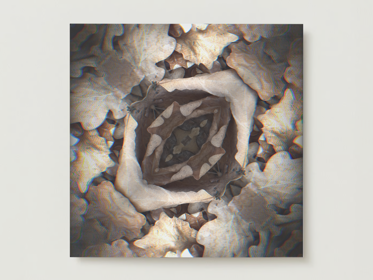 kaleido fall 2