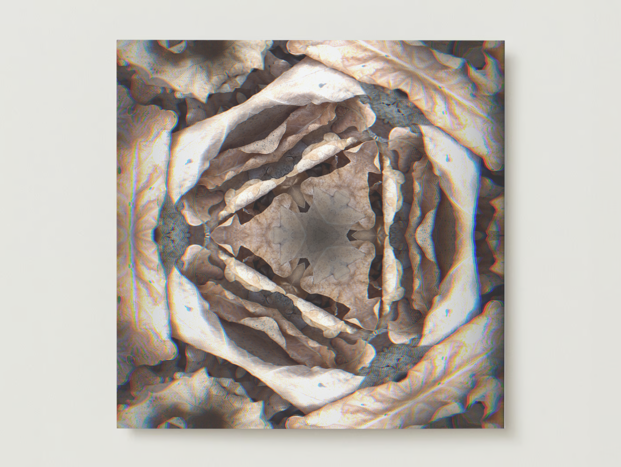 kaleido fall 4