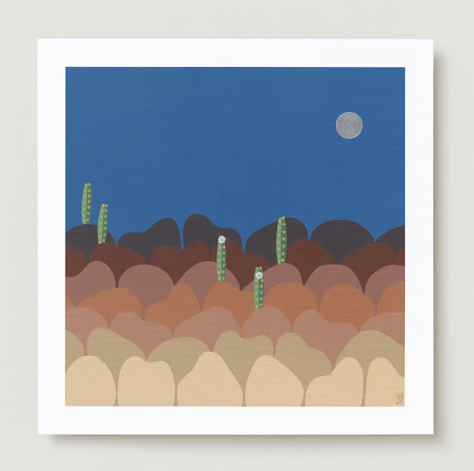 desert dreaming