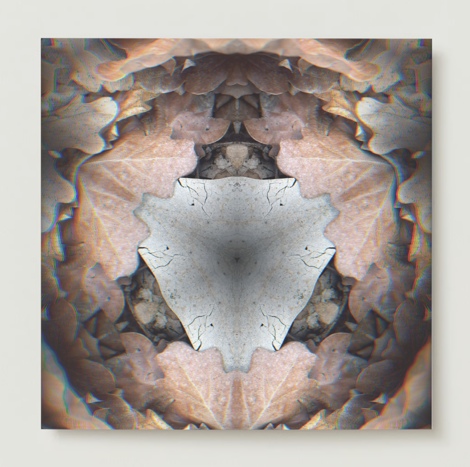 kaleido fall 5