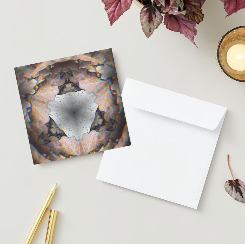 kaleido fall 5