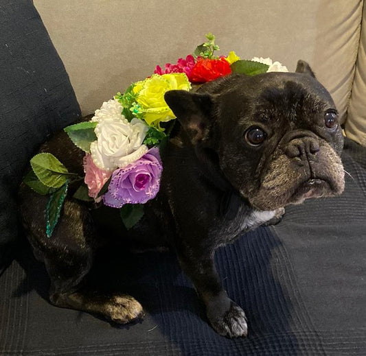 ring bearer